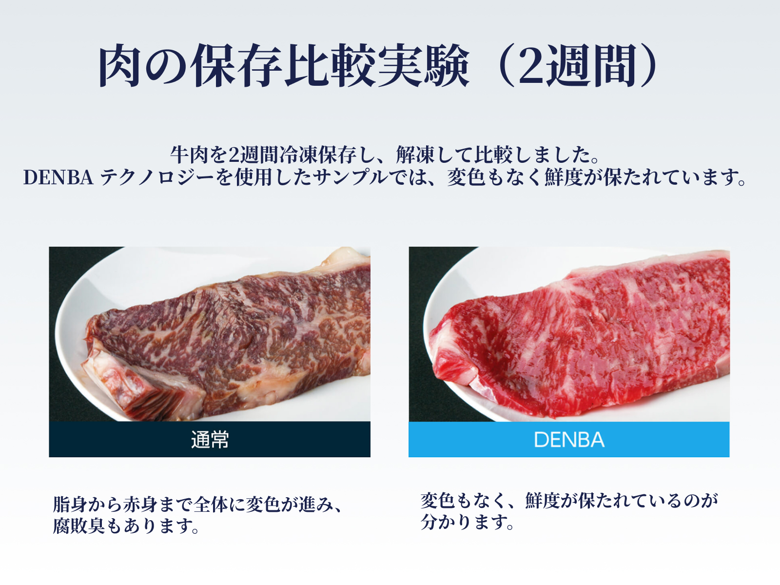 肉の保存比較実験